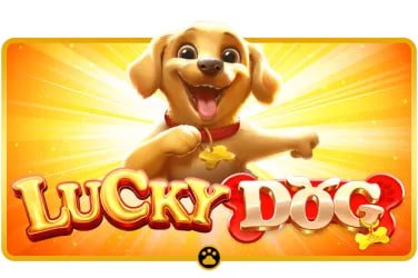 a80 app apk Android APK ဒေါင်းလုပ်ဆွဲပြီး Slots ဂိမ်း မိုဘိုင်းဖုန်းဖြင့် ကစားနိုင်သော မြင်ကွင်း